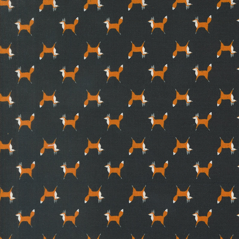 Woodland Wonder Quilt Fabric - Fox Trot in Midnight Black - 48394 21