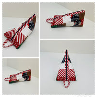 Triangle Pouch Class with Edrina