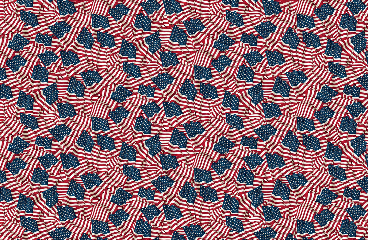 108" Stonehenge Stars and Stripes Quilt Backing Fabric - Waving Flags in Navy/Multi  - B24284-49