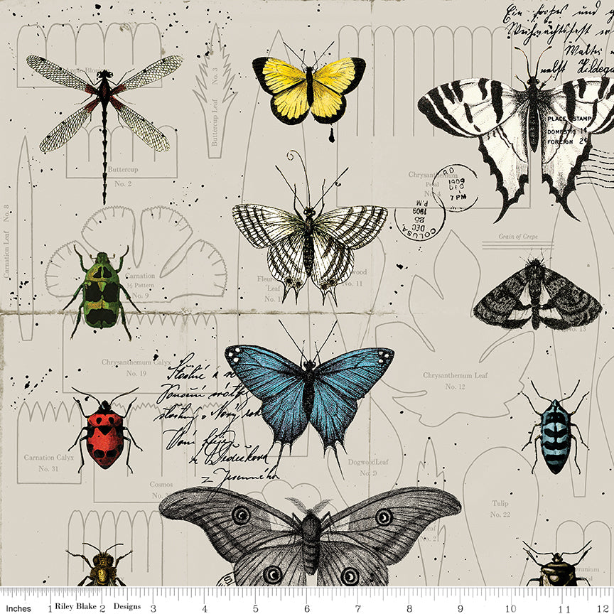 Art Journal Linen Quilt Fabric -  58" Butterfly Pages Linen/Cotton Blend in Natural Cream - LN13043-NATURAL