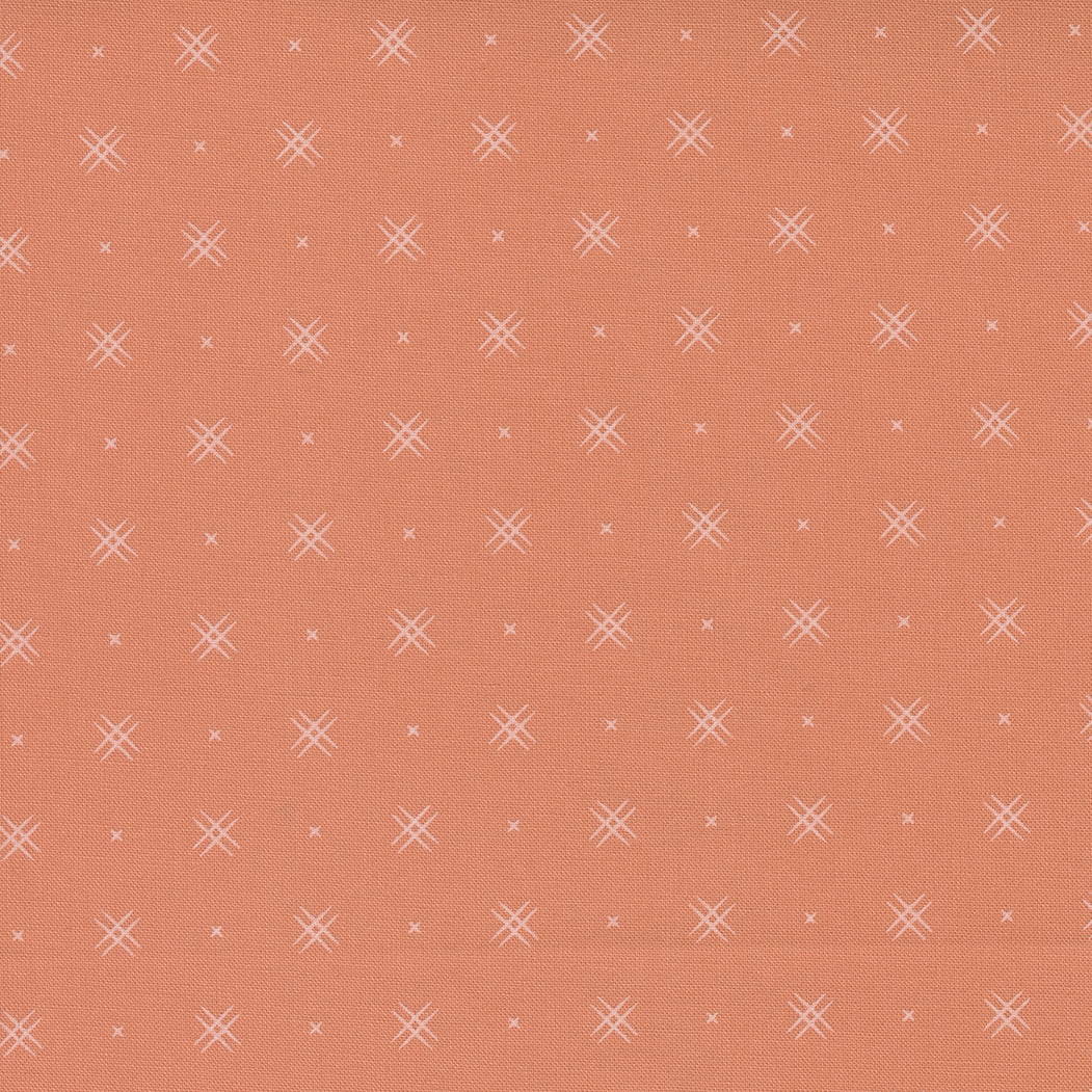 Beyond Bella Quilt Fabric - On Point in Coral - 16740 147