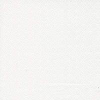 Coriander Seeds Quilt Fabric - Peels in White on White - 29144 11