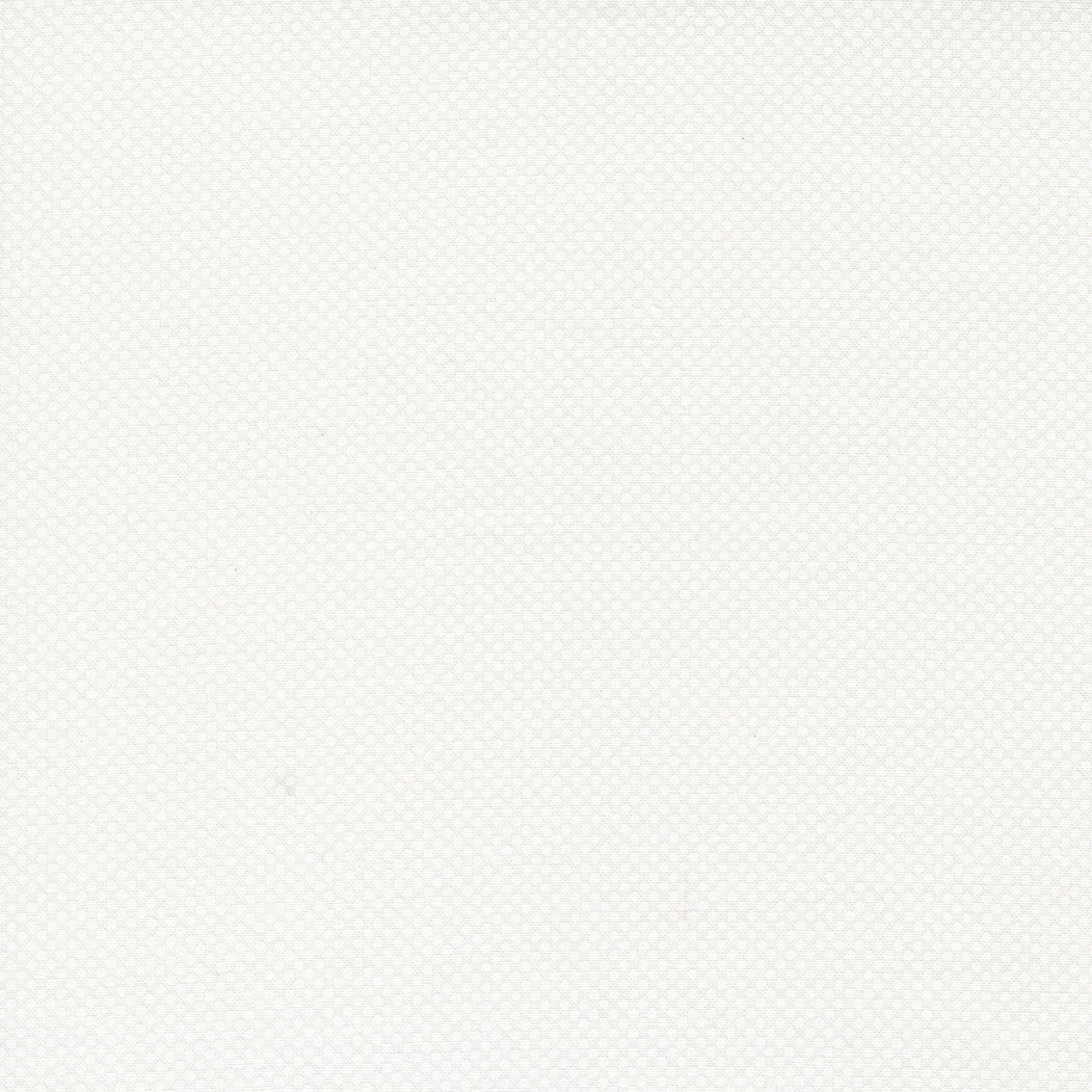 Coriander Seeds Quilt Fabric - Pin Dot in White on White - 29149 11