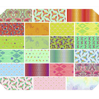 Daydreamer Quilt Fabric by Tula Pink - Design Roll - set of 40 2 1/2" strips