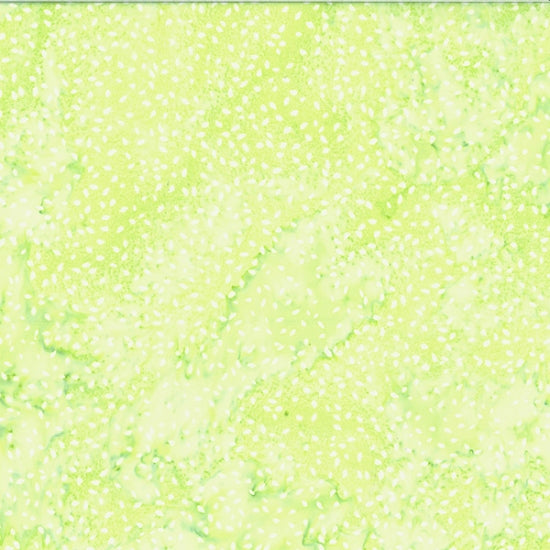 Sew the Rainbow Batik Quilt Fabric - Seeds in Lime Green - U2473-11