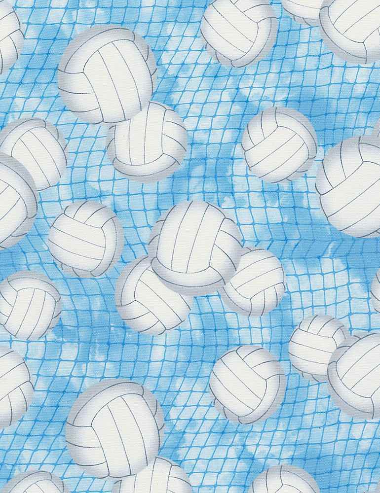 Timeless Treasures Novelty Quilt Fabric - Volleyballs on Blue - GAIL-C7042 BLUE
