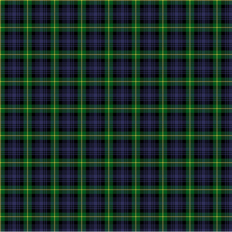 Totally Tartans Brushed Cotton Quilt Fabric - Gordon in Green/Multi - W24509-76