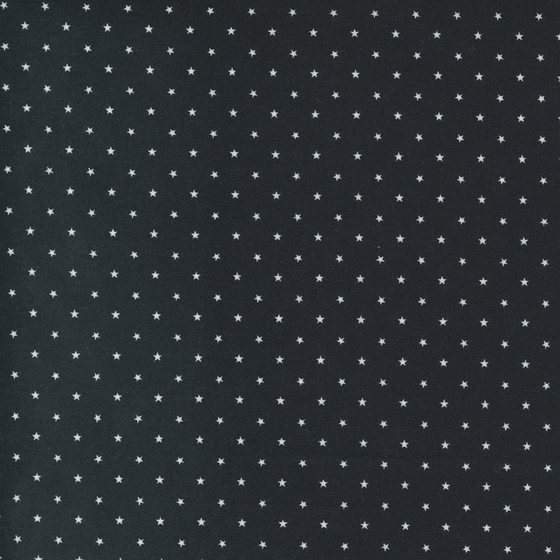 Twinkle Quilt Fabric - Stars in Midnight Black - 24106 20